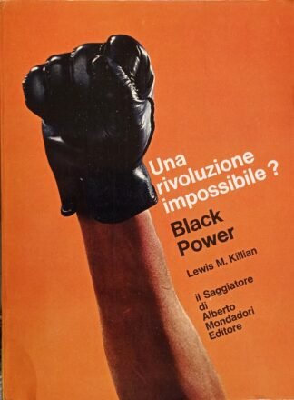 Una rivoluzione impossibile? Black Power
