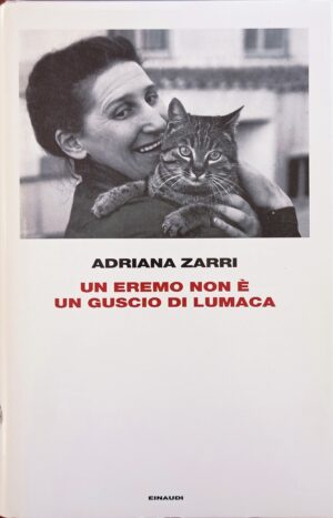 Un eremo non è un guscio di lumaca