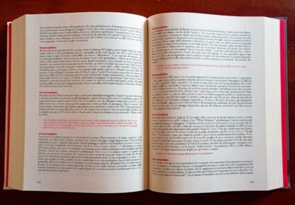 Il grande libro delle amache. 25 anni di storia italiana con pochi cedimenti allo sconforto - immagine 4