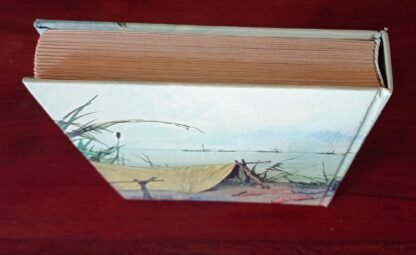 Le avventure di Tom Sawyer - immagine 2