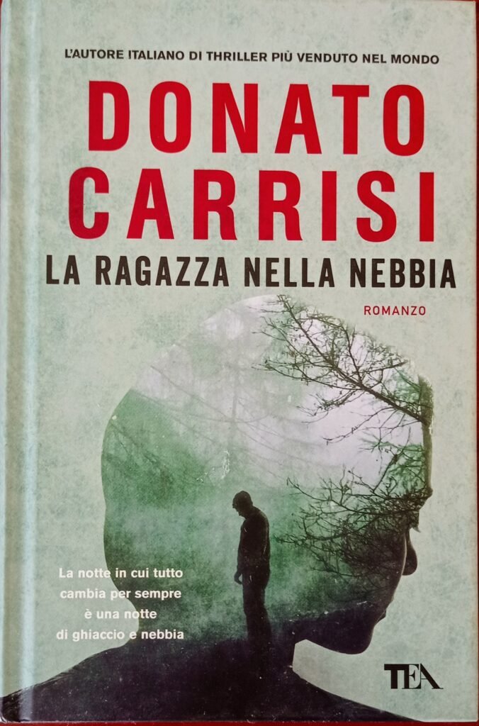 La ragazza nella nebbia
