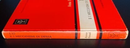 L’io e i meccanismi di difesa - immagine 5