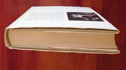 Memorie d’una ragazza perbene - immagine 3