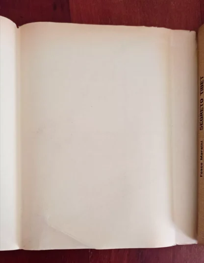Segreto Tibet - immagine 2
