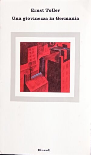 Una giovinezza in Germania