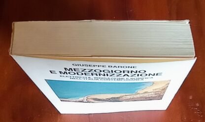 Mezzogiorno e modernizzazione. Elettricità, irrigazione e bonifica nell’Italia contemporanea - immagine 3