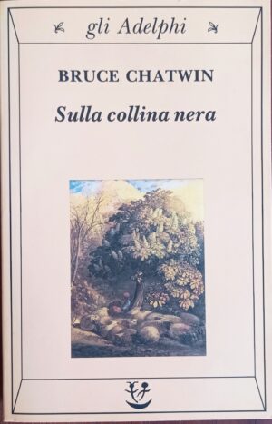Sulla collina nera