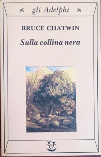 Sulla collina nera