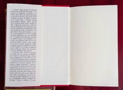Il signore degli anelli - immagine 17
