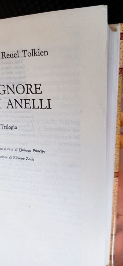 Il signore degli anelli - immagine 12