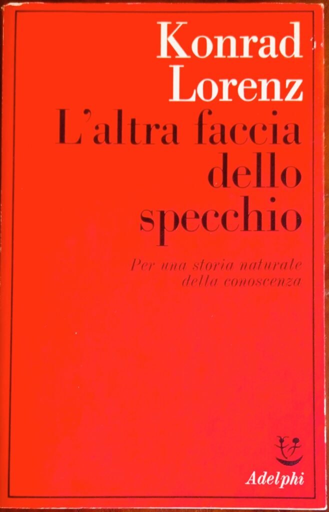 L’altra faccia dello specchio