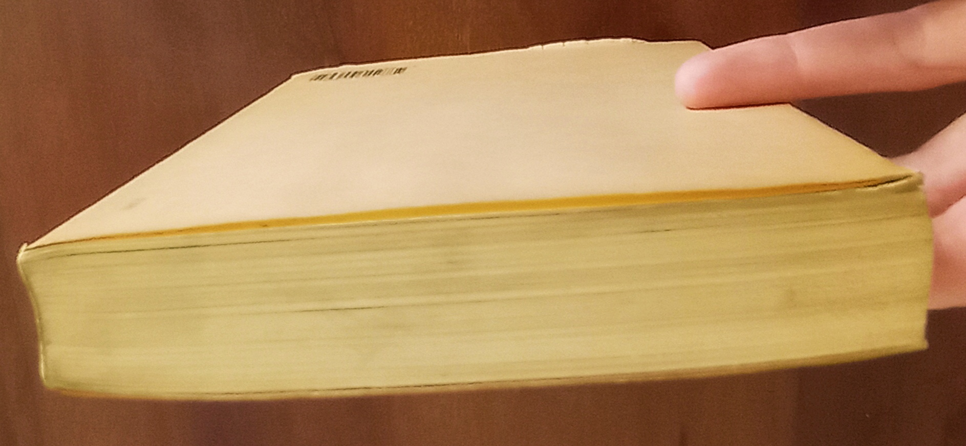 Lo stendardo Lo stendardo - immagine 2