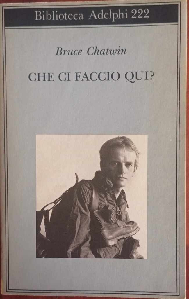 Che ci faccio qui?