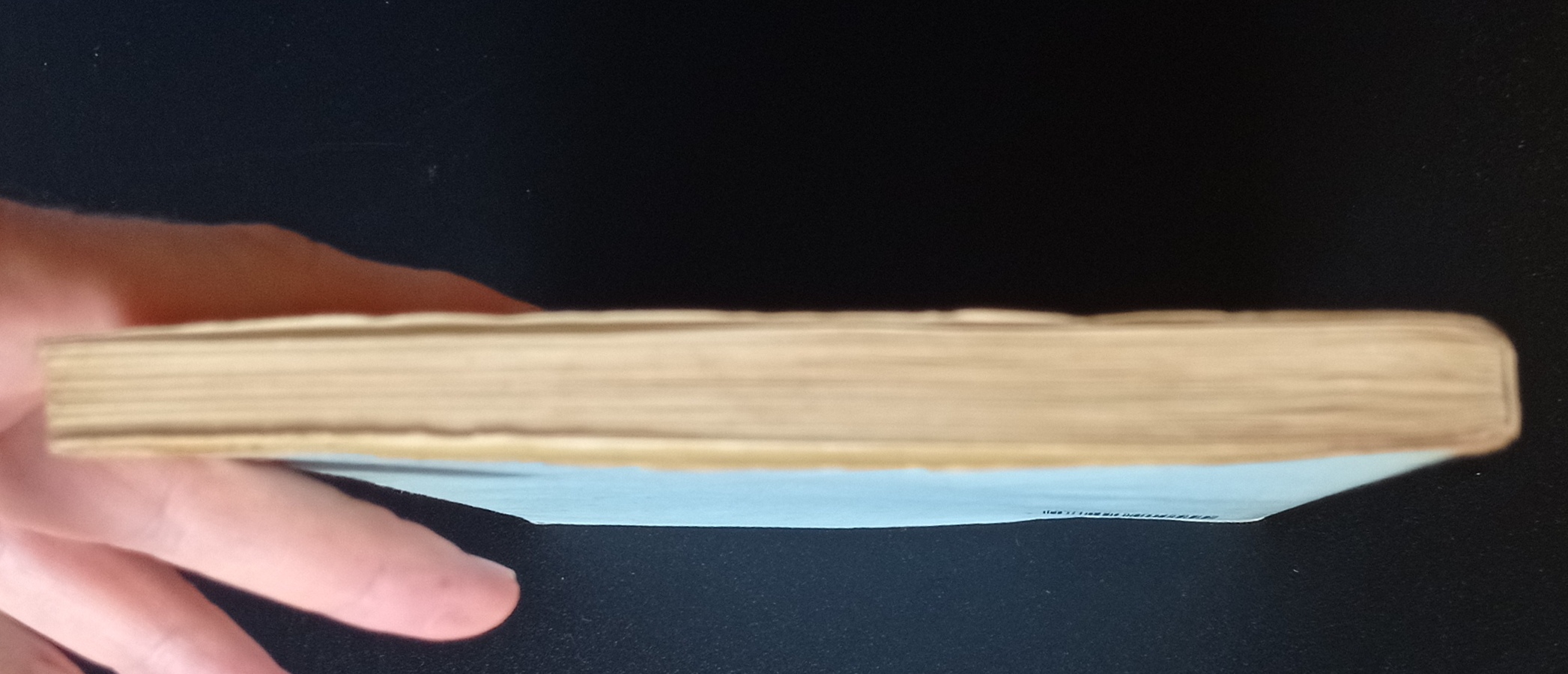 L’avvocata delle vertigini L’avvocata delle vertigini - immagine 2