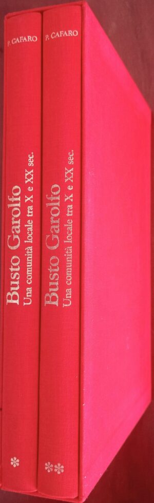 Busto Garolfo. Una comunità locale tra X e XX secolo