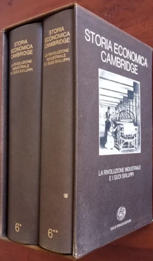 La rivoluzione industriale e i suoi sviluppi
