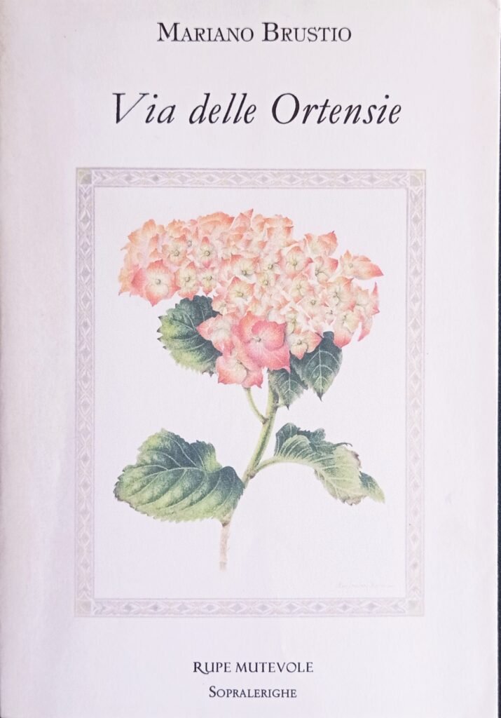 Via delle Ortensie