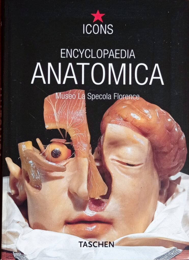 Encyclopaedia anatomica. Una selezione di cere anatomiche