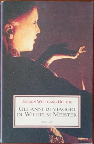 Gli anni di viaggio di Wilhelm Meister o i Rinuncianti