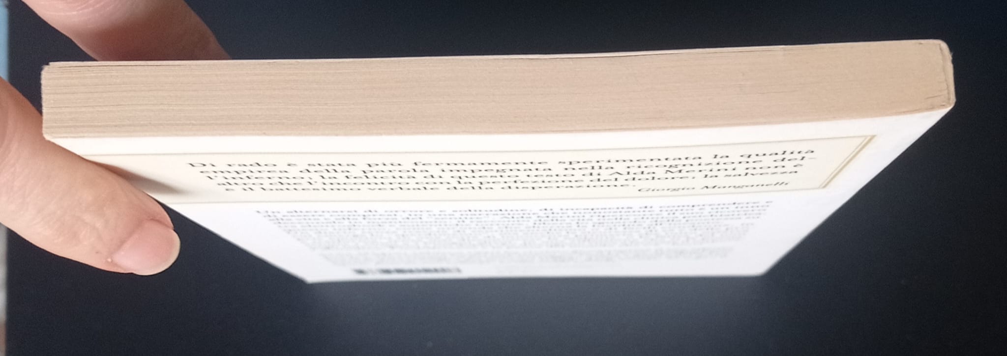 L’altra verità. Diario di una diversa L’altra verità. Diario di una diversa - immagine 2