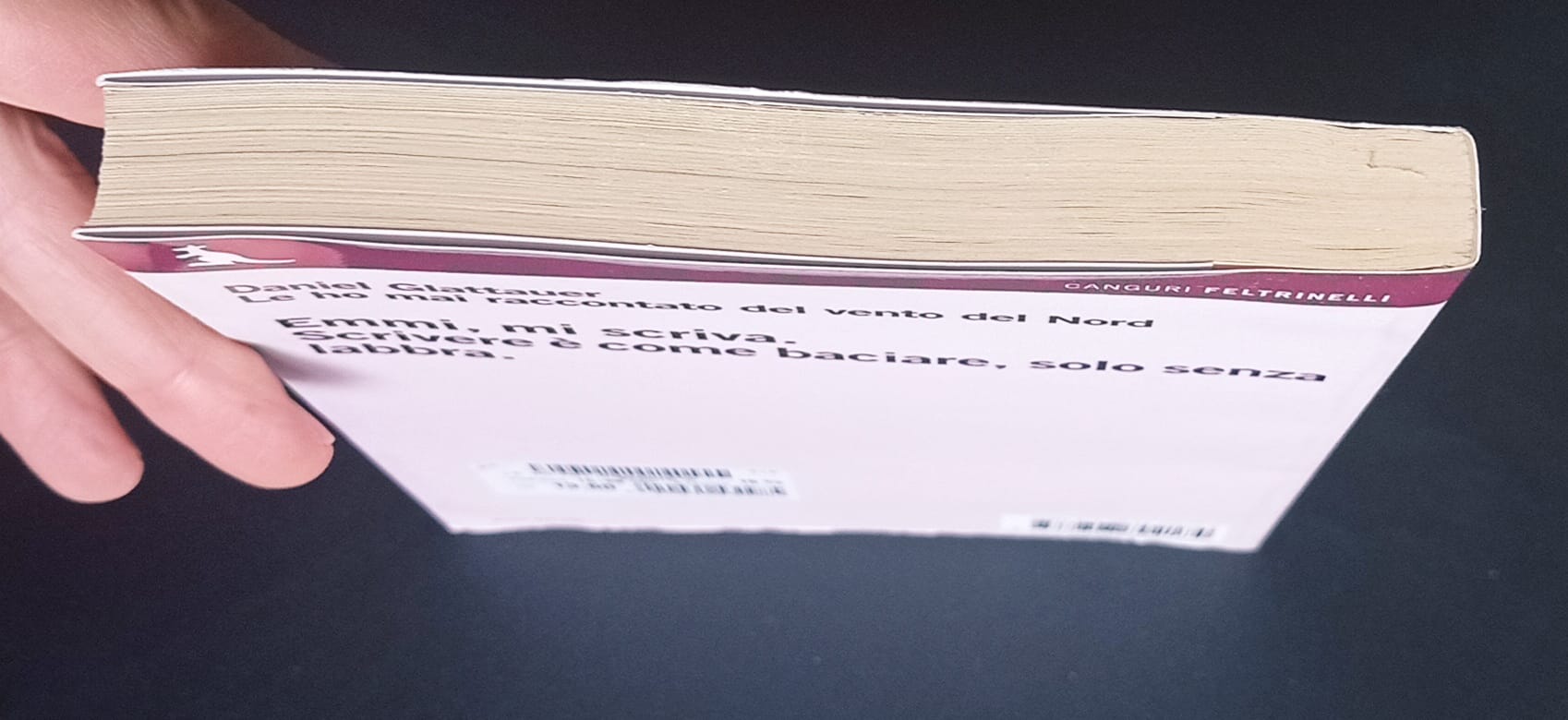 Le ho mai raccontato del vento del Nord Le ho mai raccontato del vento del Nord - immagine 2