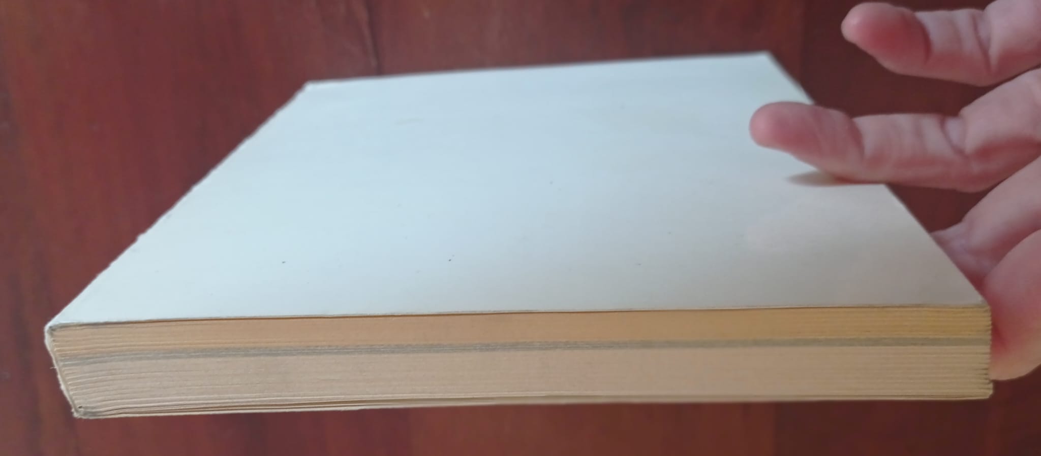 Elementi fondamentali di disegno tecnico tessile Elementi fondamentali di disegno tecnico tessile - immagine 7