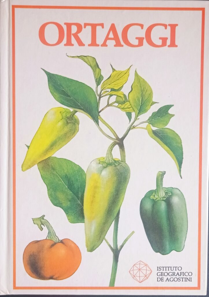 Ortaggi