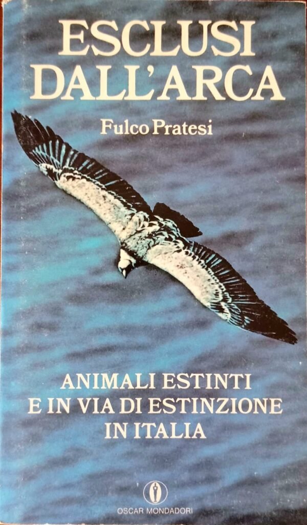 Esclusi dall’arca