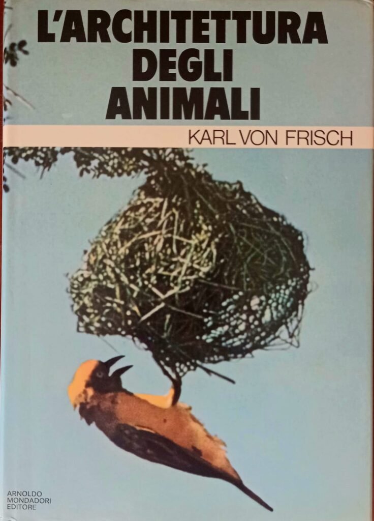 L’architettura degli animali