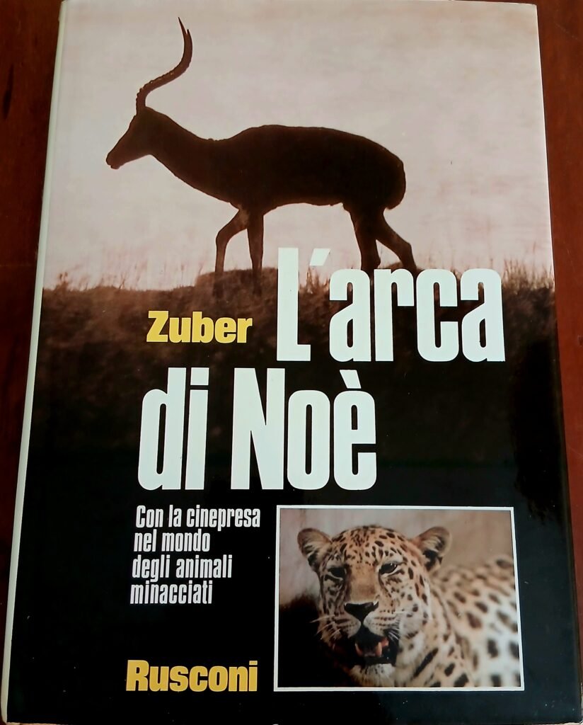 L'arca di Noè