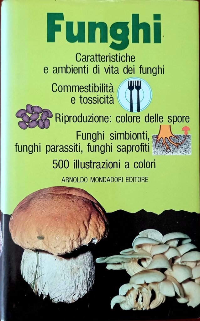 Funghi