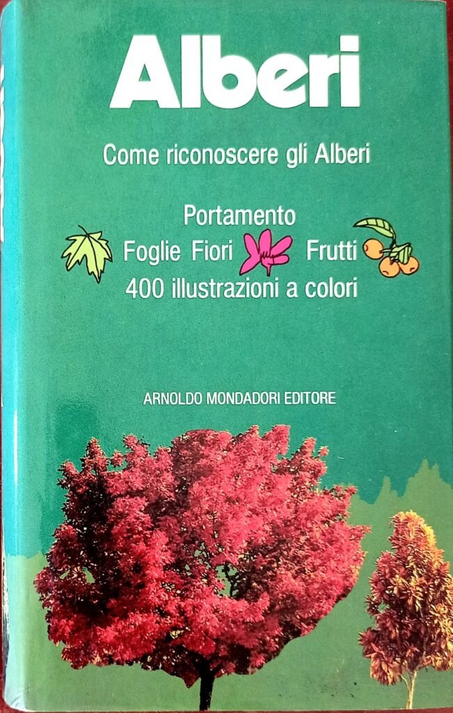 Alberi