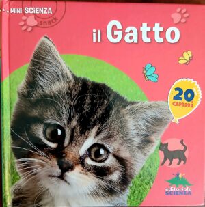 Il gatto