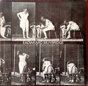 La locomozione animale