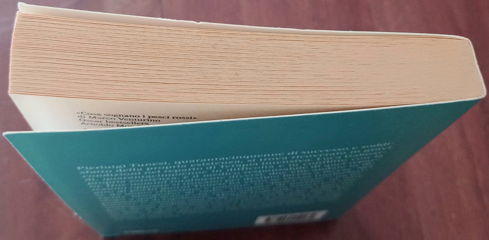 Cosa sognano i pesci rossi Cosa sognano i pesci rossi - immagine 2