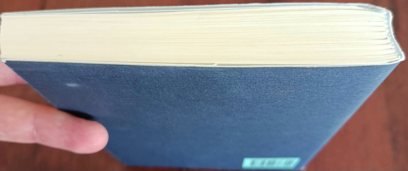 La giostra dei criceti La giostra dei criceti - immagine 2