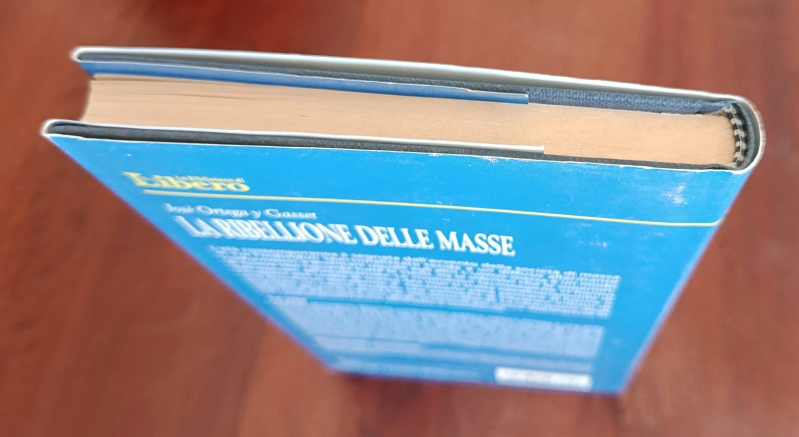 La ribellione delle masse La ribellione delle masse - immagine 2