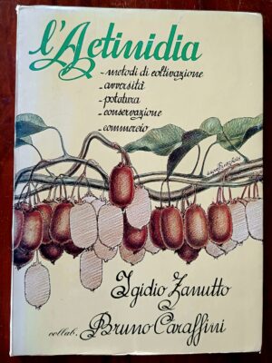 L’actinidia