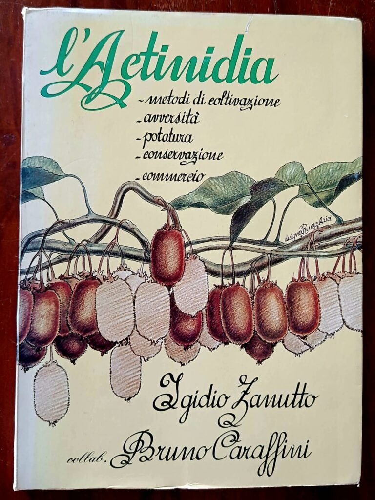 L’actinidia