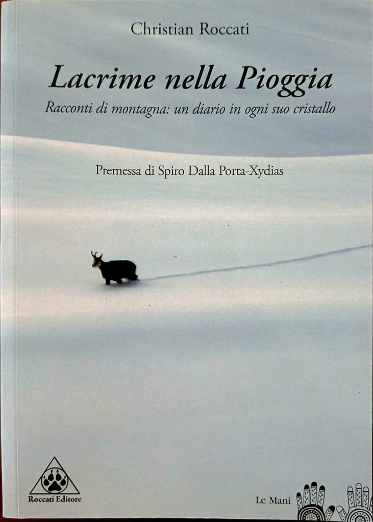 Lacrime nella pioggia