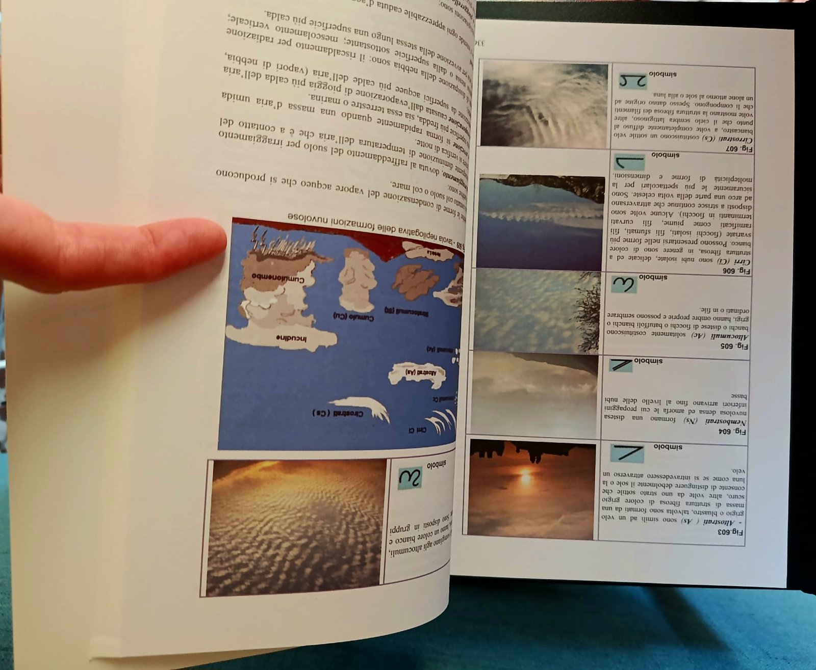 Arte marinaresca e tecnica navale Arte marinaresca e tecnica navale - immagine 3