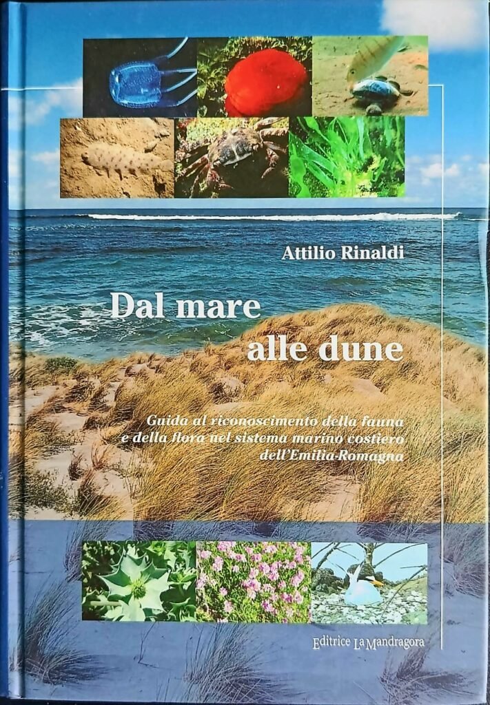 Dal mare alle dune