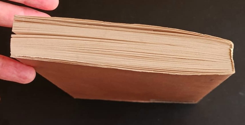 Vita dell’arciprete Avvakum scritta da lui stesso Vita dell’arciprete Avvakum scritta da lui stesso - immagine 2