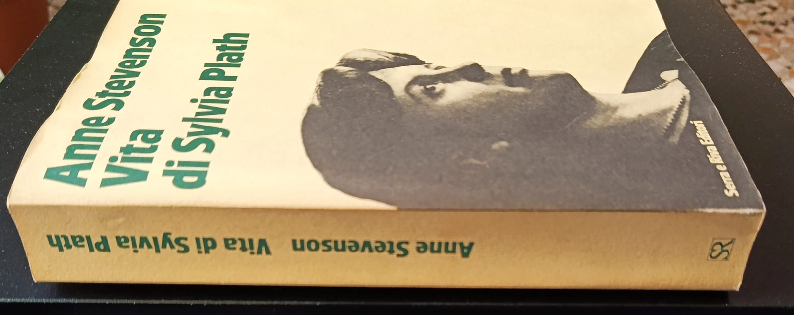 Vita di Sylvia Plath Vita di Sylvia Plath - immagine 2