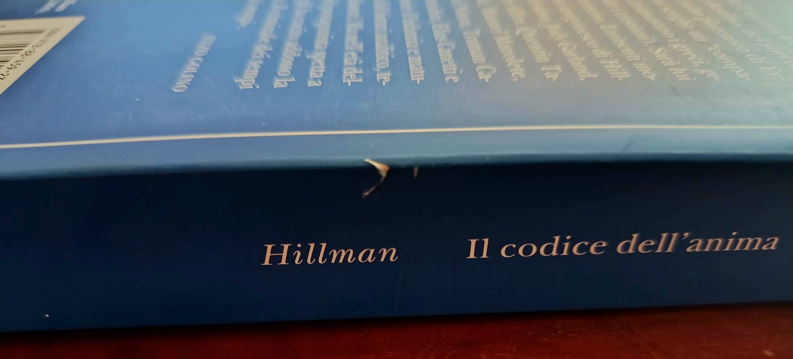 Il codice dell’anima Il codice dell’anima - immagine 2