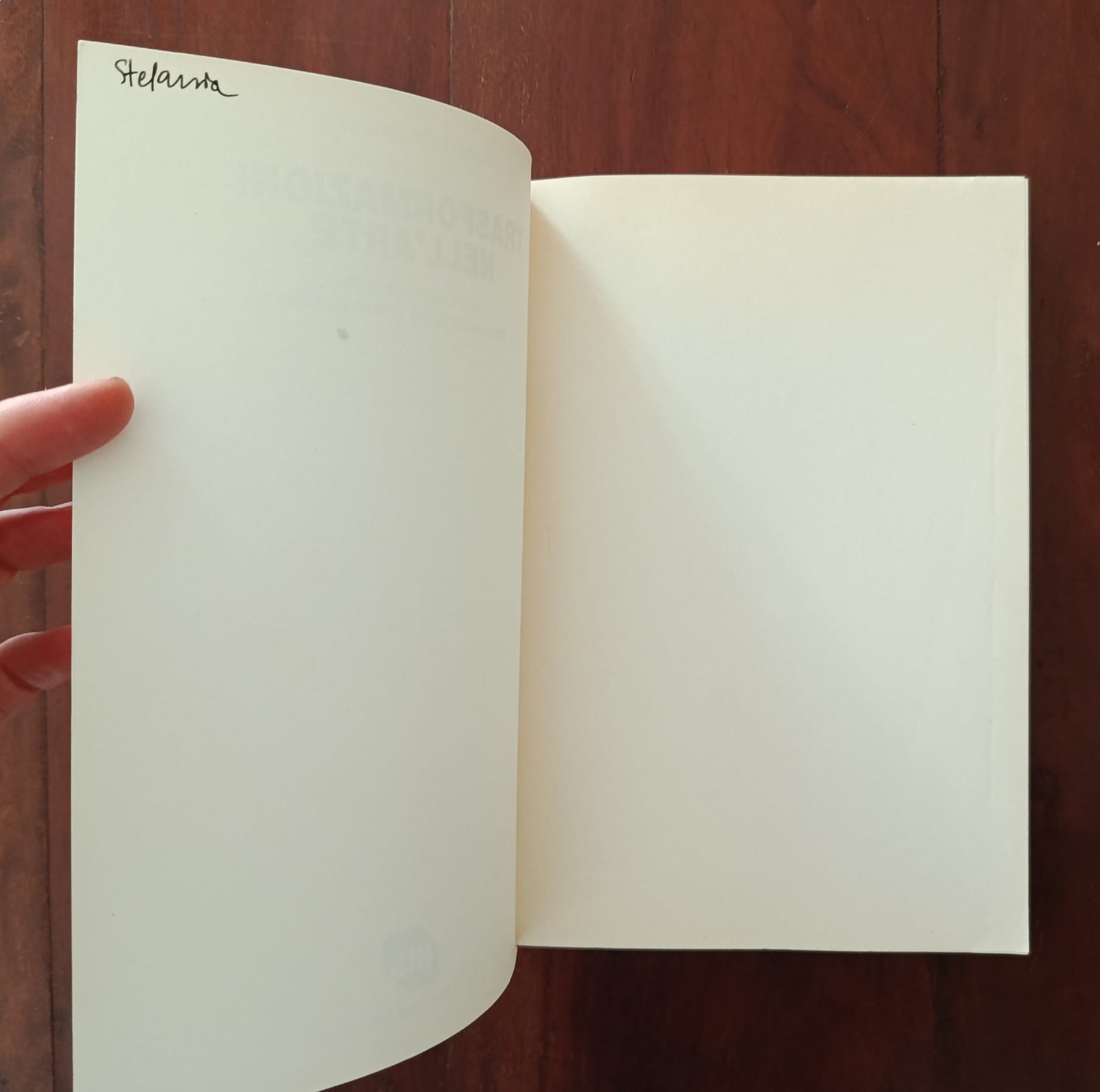 Trasformazioni nell’arte Trasformazioni nell’arte - immagine 2