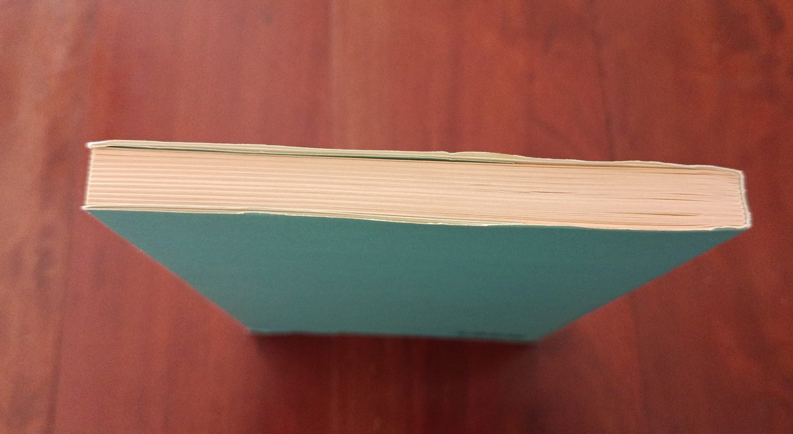 Il libro di sabbia Il libro di sabbia - immagine 3
