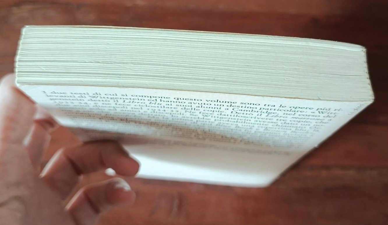 Libro blu e libro marrone Libro blu e libro marrone - immagine 5