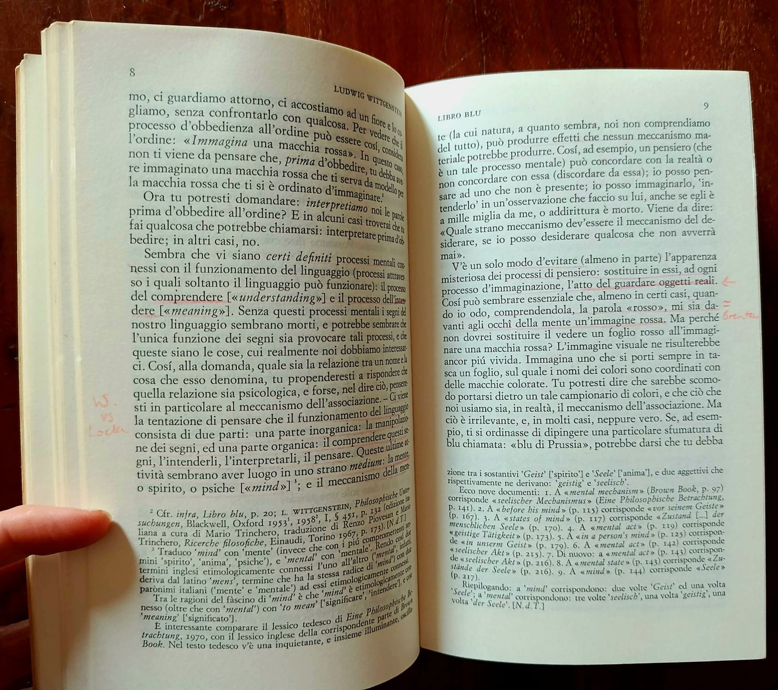 Libro blu e libro marrone Libro blu e libro marrone - immagine 3