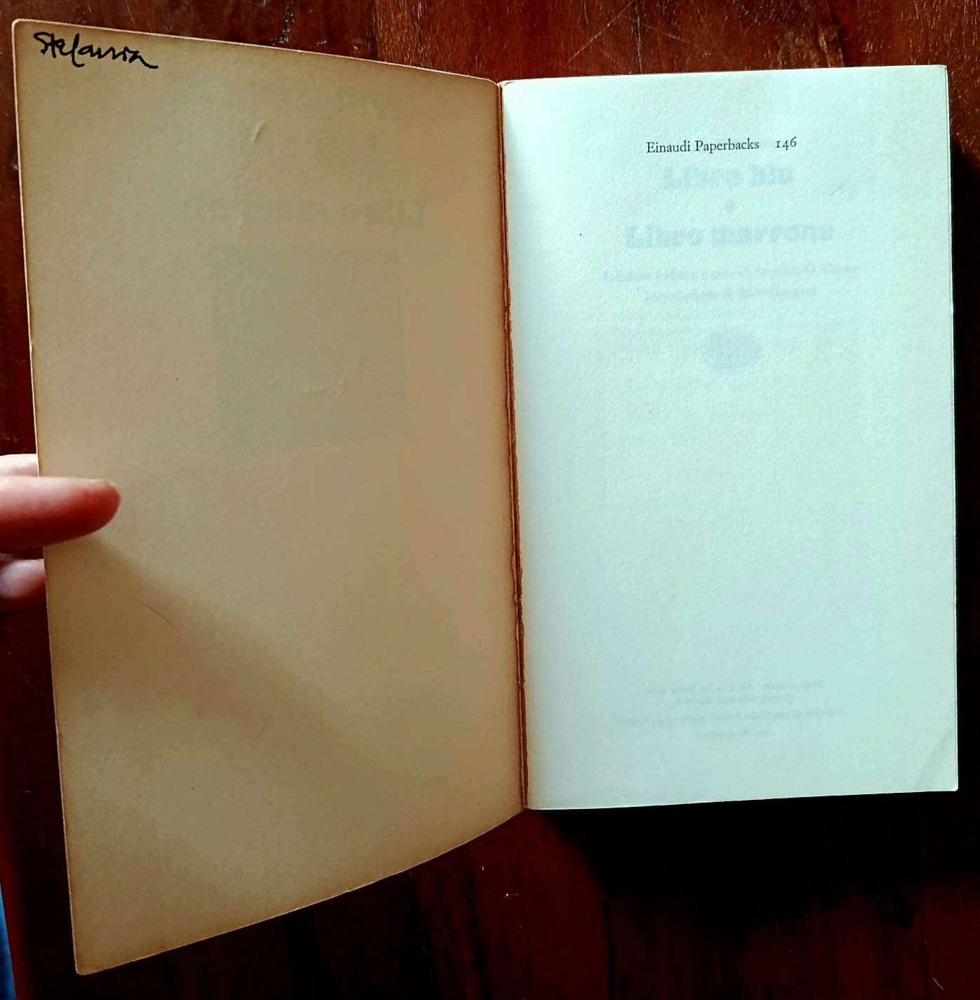 Libro blu e libro marrone Libro blu e libro marrone - immagine 2